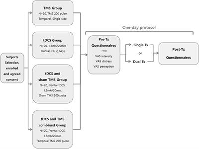 Single-Session of Combined tDCS-TMS May Increase Therapeutic Effects in Subjects With Tinnitus